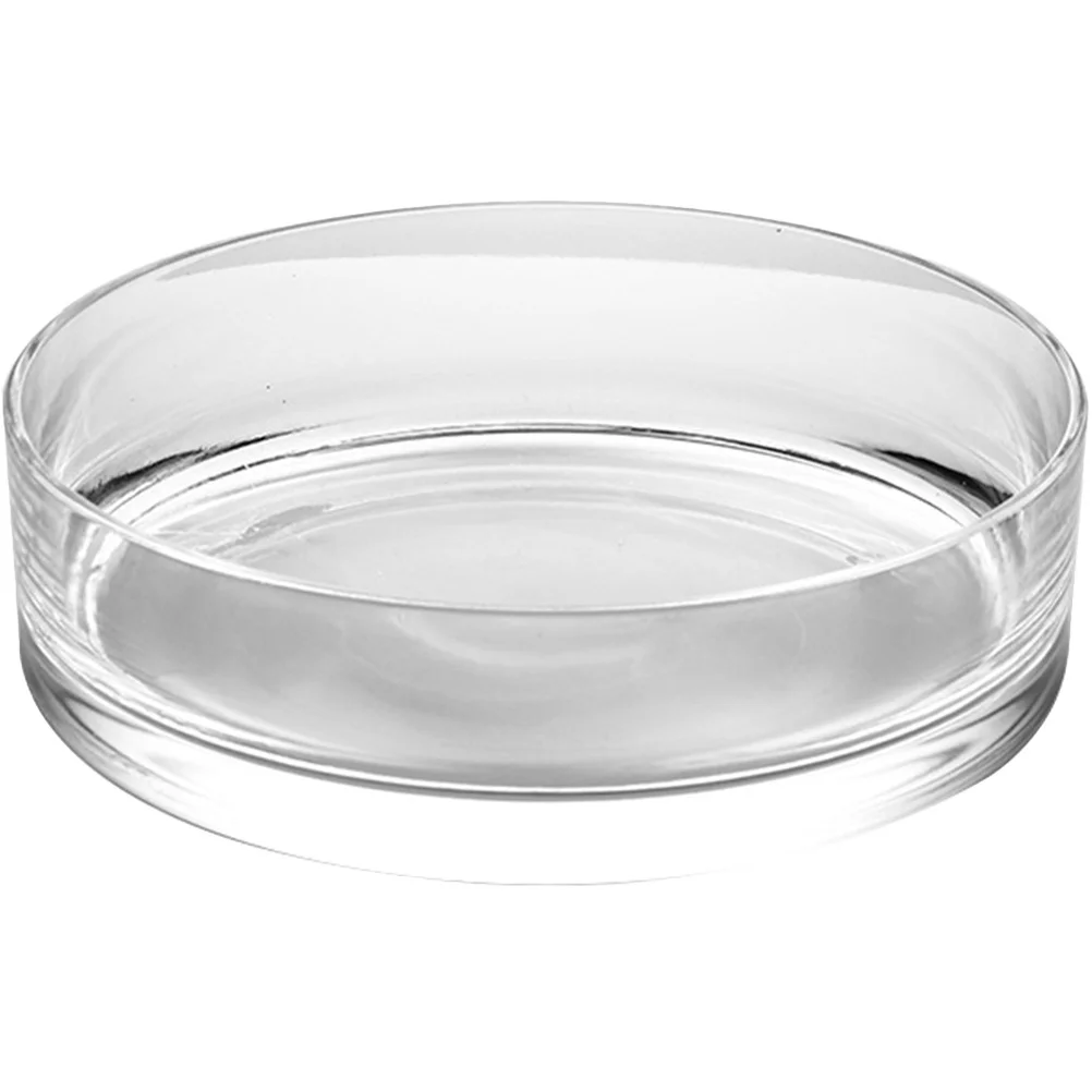 

Premium Glass Hydroponic Vase Round Shape Clear Flower Pot for Indoor Plants Modern Home Store Party Decoration Accessory