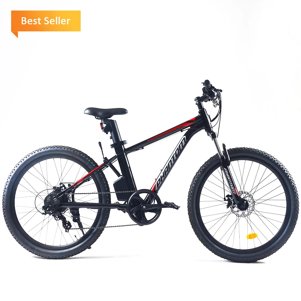 

Electric Bicycle Price Supply Singapore Europe Nepal Italy Morocco Peru Price mountain e bike