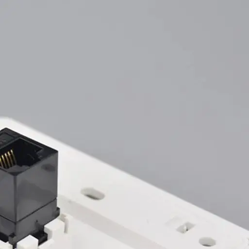 Female To Female CAT6 Gigabit Dual-Pass Network Wall Plug RJ45 LAN Faceplate Internet Straight Plug Outlet 86x86mm