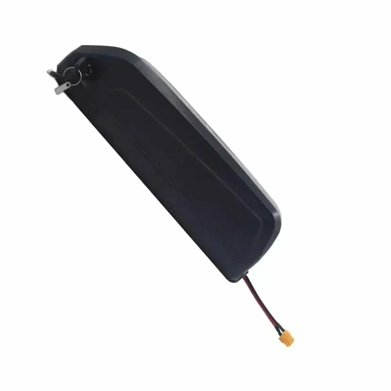 Рисунок 3 - Электрический велосипед Hailong