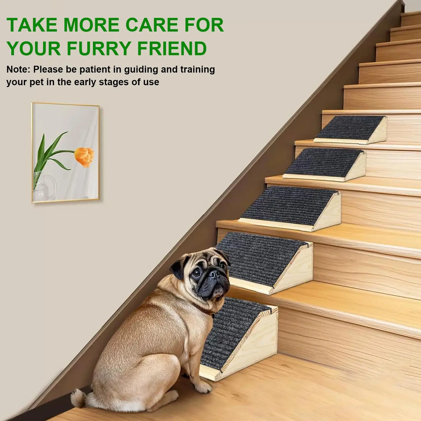 #18 Latest Puppy Ramps Offers