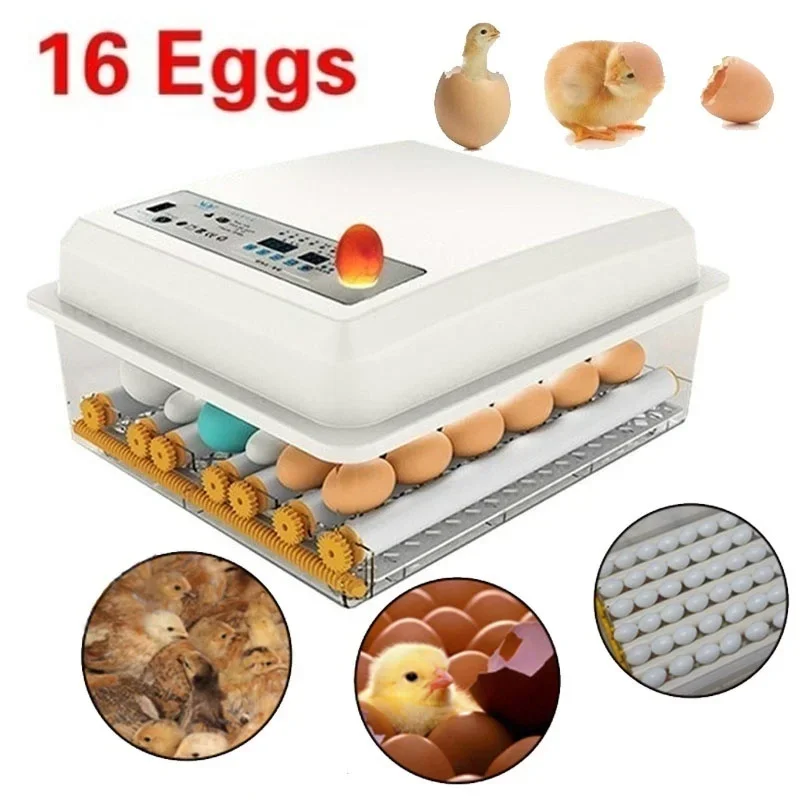 

110V/220V Eggs Incubator Brooder Bird Quail Chick Incubator Hatchery Poultry Hatcher Turner Automatic Farm Incubation Tools