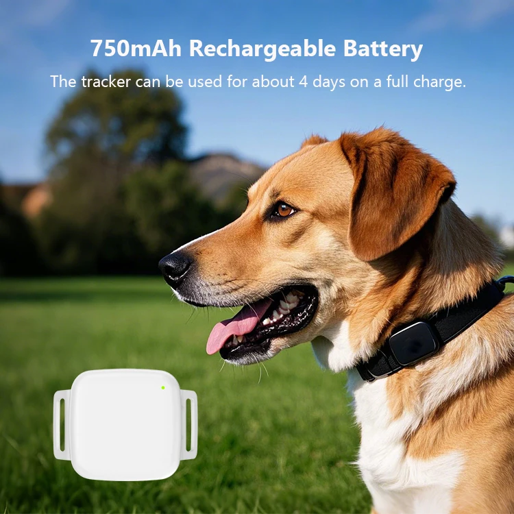 Pet Tracker Mini Gps Locator Animals Tracker Bracelet Tracking Chip Pets Real-Time Tracking Cat GPS Tracker for Dogs Anti-lost