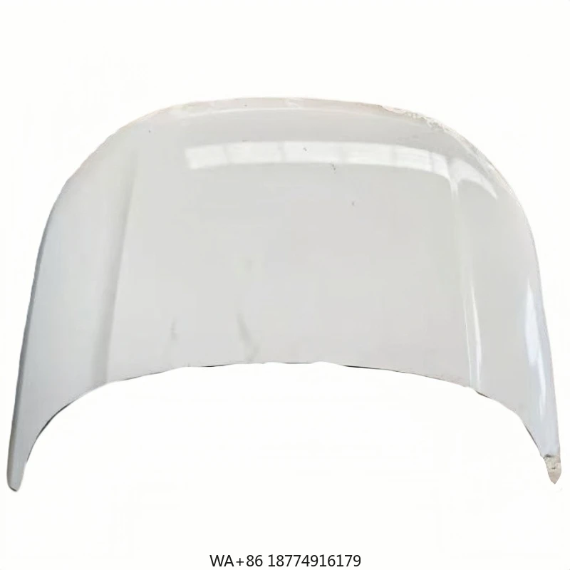 For Aurora Hood Bon… - image