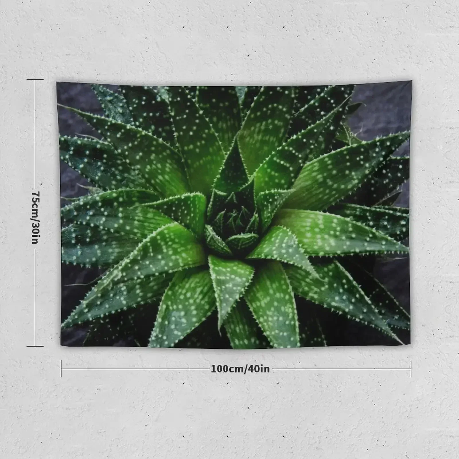 Succulent. Haworthia fasciata Tapestry Room Decorations Aesthetic Cute Decor Bedroom Decoration Christmas Decoration Tapestry