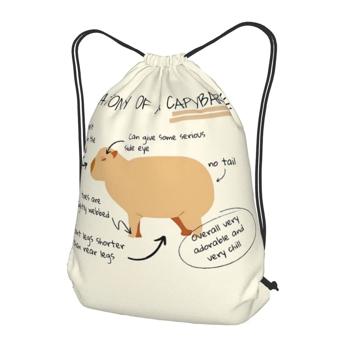 

Anatomy Of A Capybara Backpacks Casual Drawstring Bundle Pocket Storage Bag Book Bags for Man Woman Students