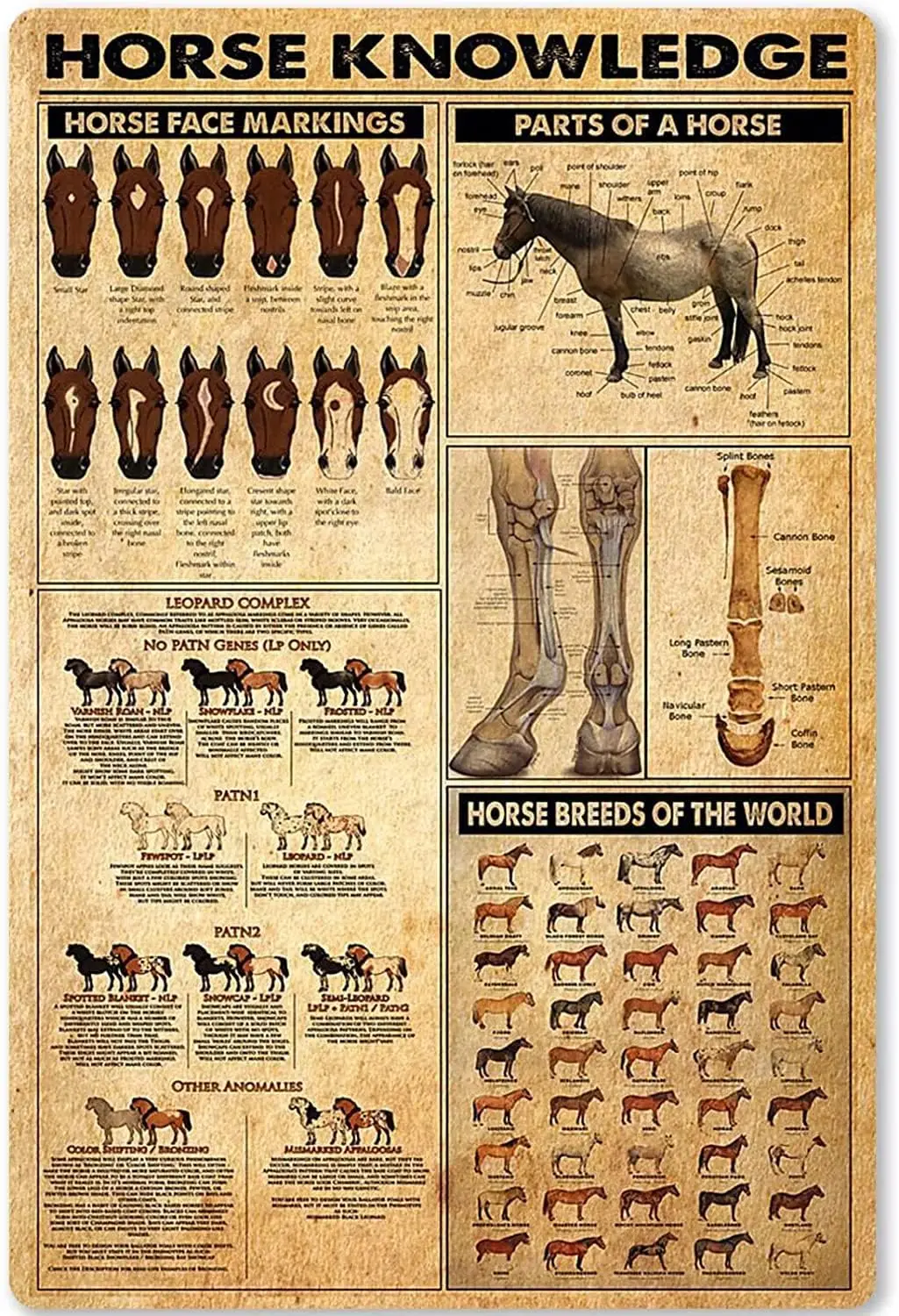 Youpinnong Horse Knowledge Metal Tin Signs Retro Horse Farm Study Guide Poster Horse Farm Science Plaques Farmhouse Courtya sign