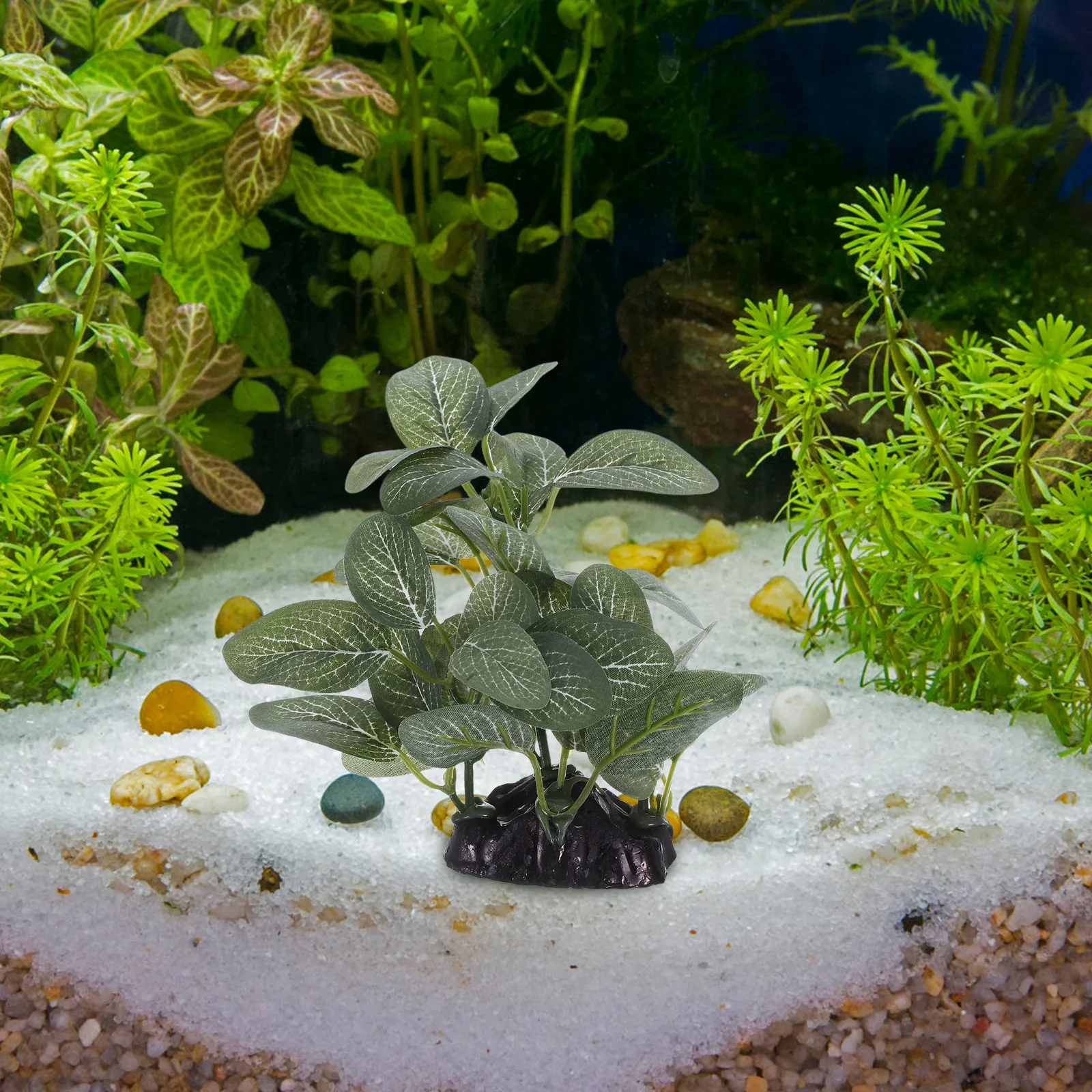

Artificial Aquatic Plants for Aquarium Fish Tank Decor Plastic Water Grass Ornaments Realistic Foliage Enhancement Easy