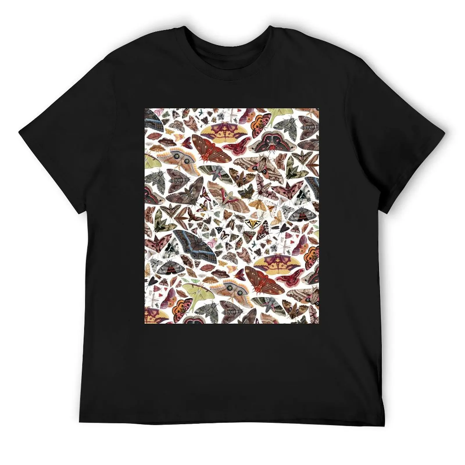 

Moths of North America Pattern T-Shirt anime stuff essential t shirt T-shirts man plain t shirts men