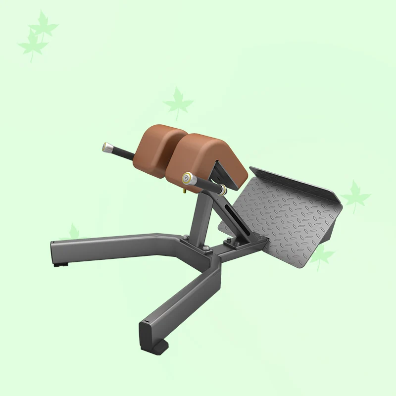

China Gym Machine Manufacturer Provide Gym Sports Equipment 45 Degree Lower Back Extension Exercise Bench