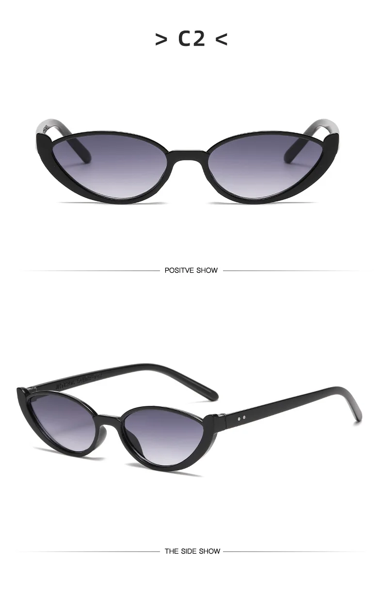 Vintage Dreieck Cat Eye Frauen Sonnenbrille Persönlichkeit PC Rahmen Harz Objektiv Reise Brillen Angeln Gläser Reiten Brille – Detail 8