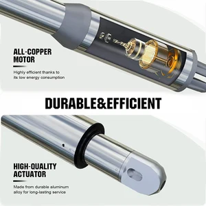 Automatische (660 lb) Einfach automatische Balchengate öffnet geeignet für das Öffnen/Gate -Gate -Solar Solar Solar 12 Haupt Solar Sales Electric Portao - №6