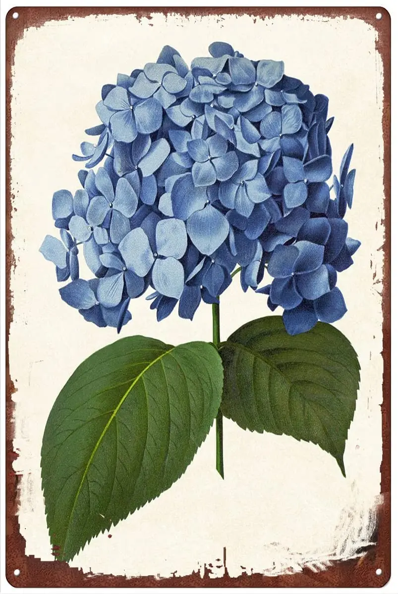 Blue Hydrangea Vintage Flower Metal Tin Sign Artwork Signs for Home Novelty Metal Tin Signs Retro Plate Desserts Shop Cafe  sign