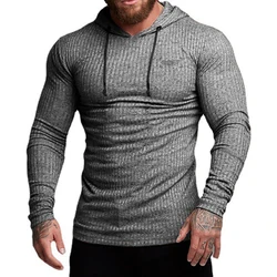 Thin Running Sports Hooded T-shirt Men's Knitted Strips Slim Fit Pullover Gym Bodybuilding Fitness Autumn Winter Quick Dry Shirt