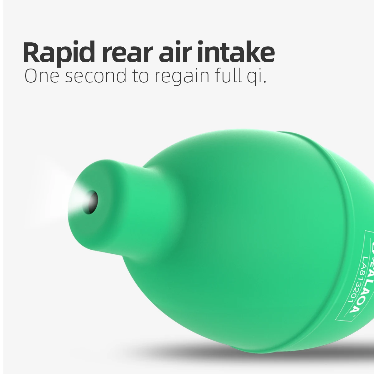 LAOA Green Potente soffiatore per polvere Sfera Spruzzatore d'acqua succulenta Strumento per la rimozione della polvere per rondella dell'orecchio con piccola spazzola