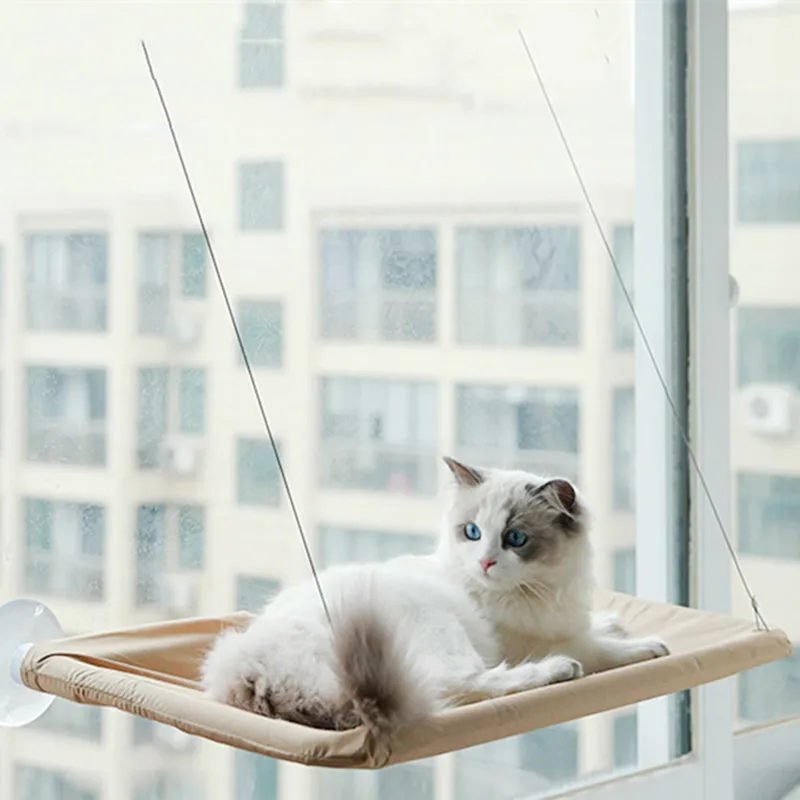 

Cat Hammock Cat Bed Suction Cup Hanging Nest Window Glass Hanging Cat Nest Windowsill Pet Supplies In Summer Sun