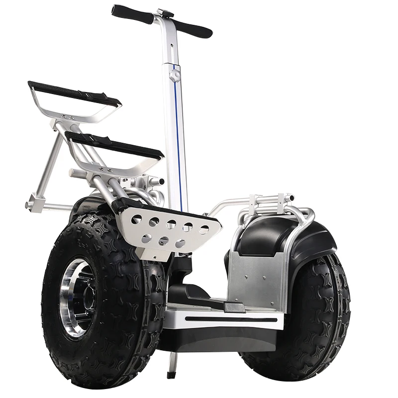 19 Inch GPS Remote Control Two-wheel Off-road Self-balancing Golf Electric Scooter for Outdoor