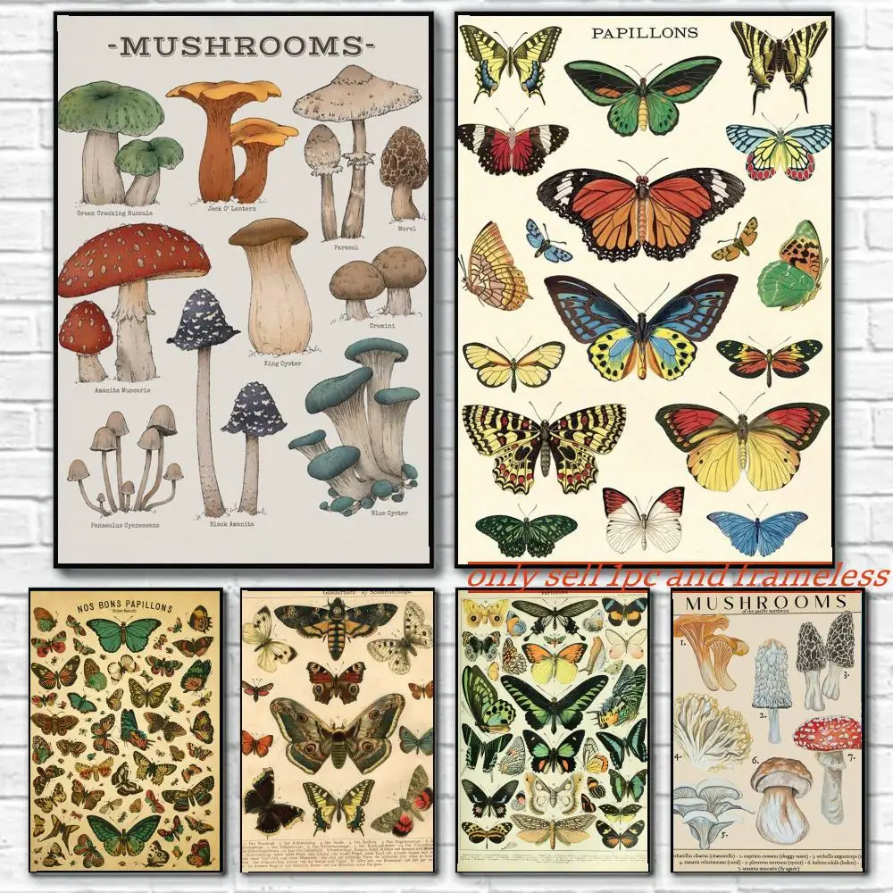Butterfly insect Art Drawing Poster Art painting with prints Home bedroom bar Outdoor places living room decoration gift