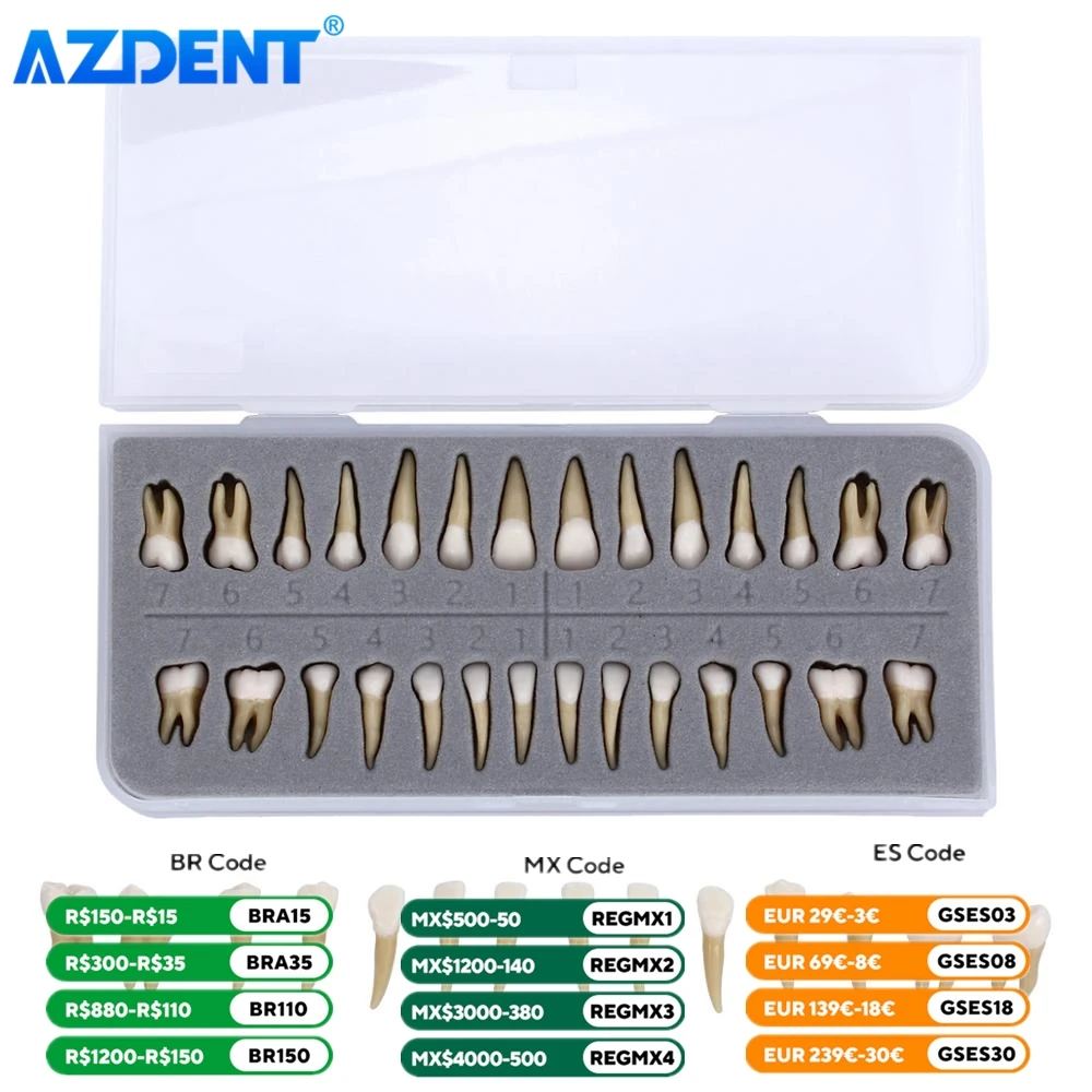 28 SZTUK Dental 1: 1 Demonstracja trwałych zębów AZDENT Naucz Model do nauki Model dentystyczny Implant Model nauczania