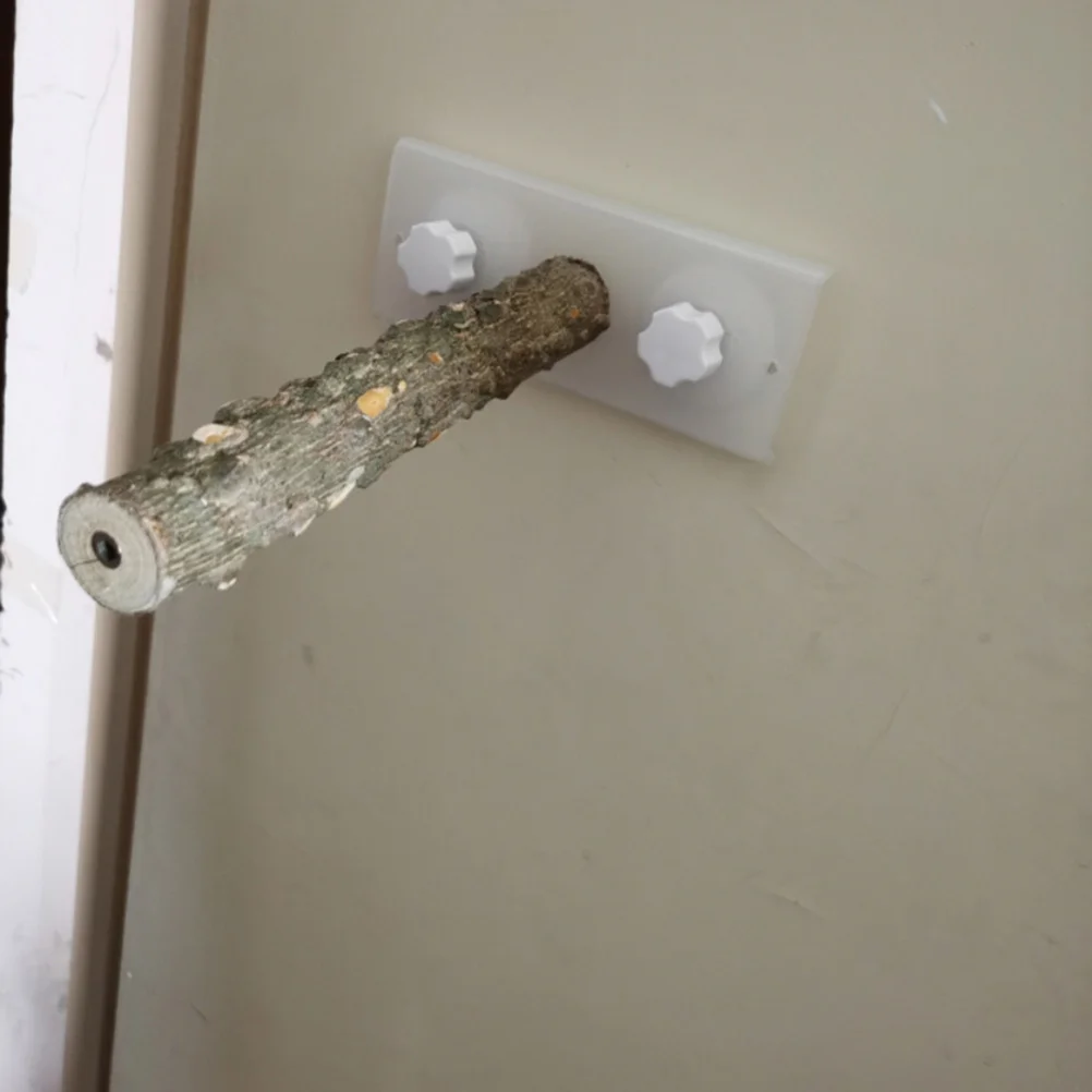 

1 pc Cup Bird Perch Stand For Parrot Finch Canary Budgie Lovebird Shower Bird Perch Stand Window Mount Exercise White