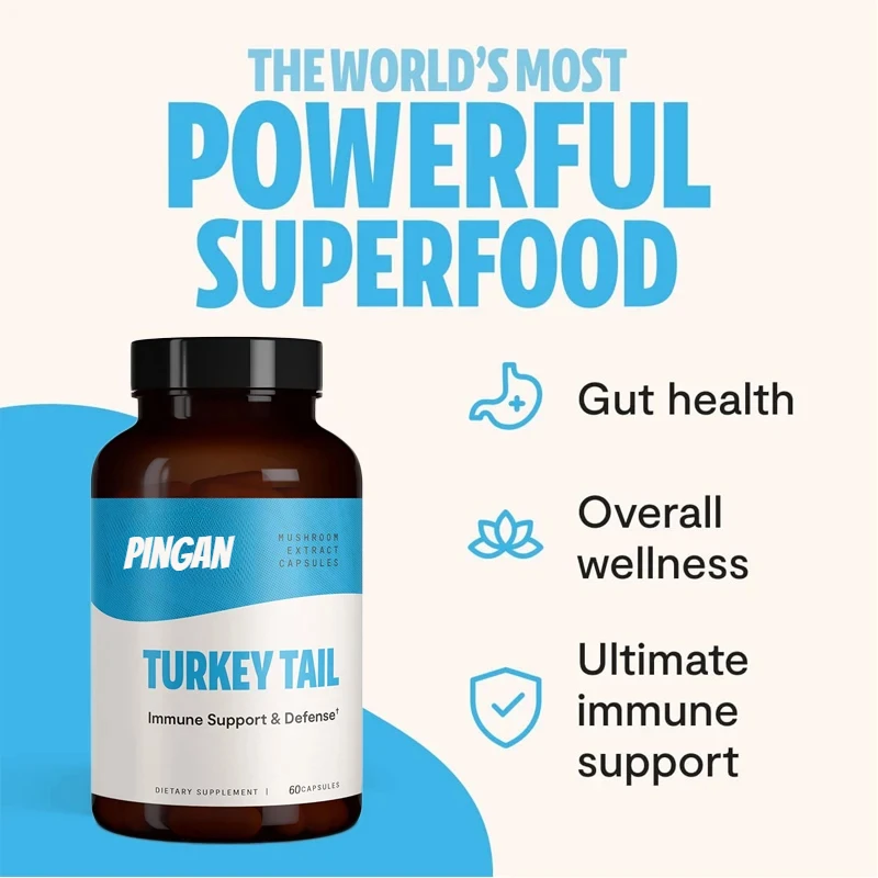 

Turkey Tail Mushroom Supplement, Promotes Immune and Digestive Health, Gastrointestinal Health, Non GMO (60 Capsules)