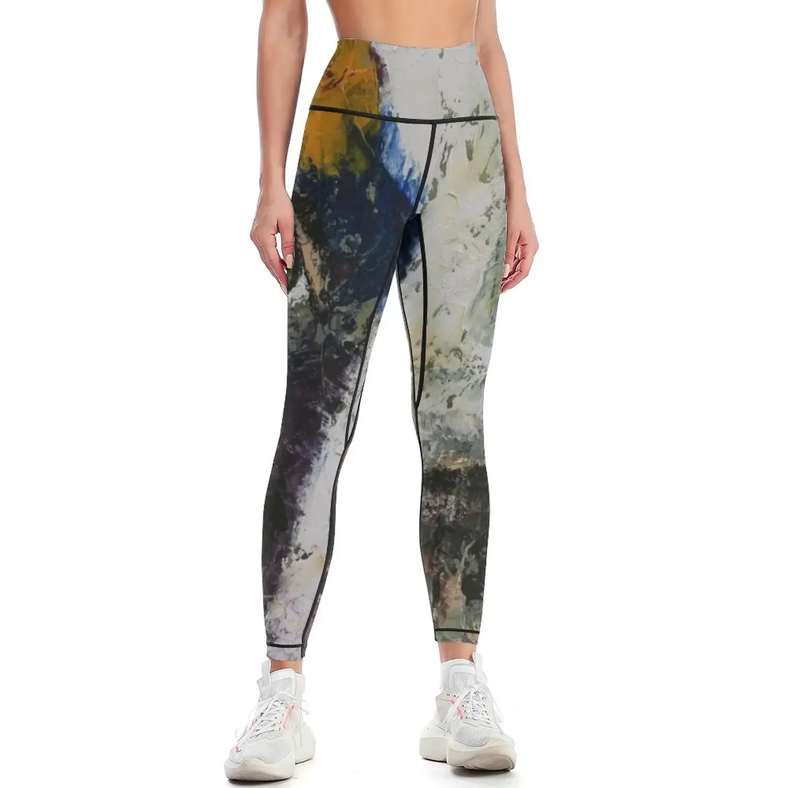 

Pit Bull Portrait Leggings gym's clothing Fitness's gym clothes gym pants sports for Womens Leggings
