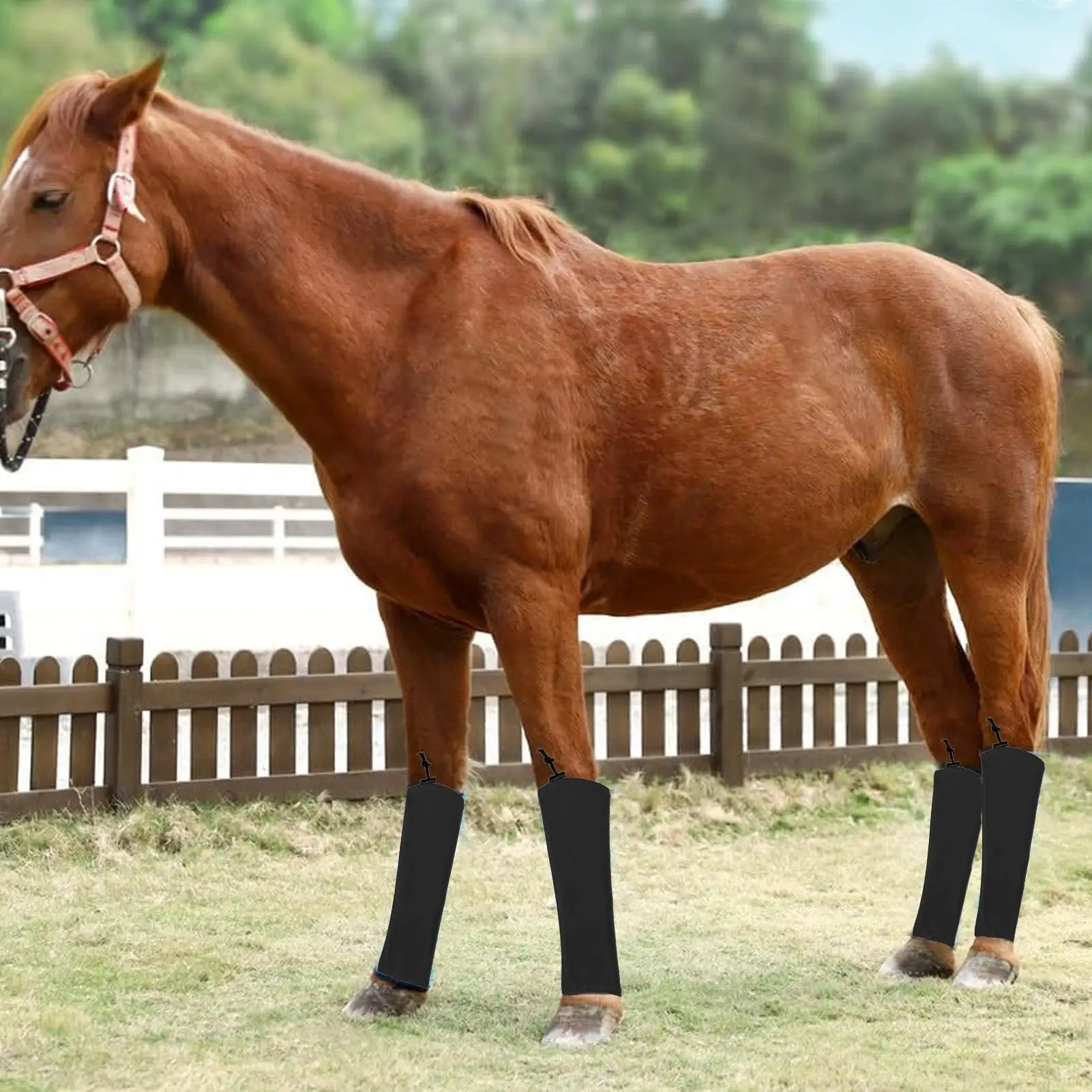 Fly Socks For Horses Equine Protective Leggings Shock-Absorbing Horse Fly Boots For Jumping Competition Stable Turnout Racing