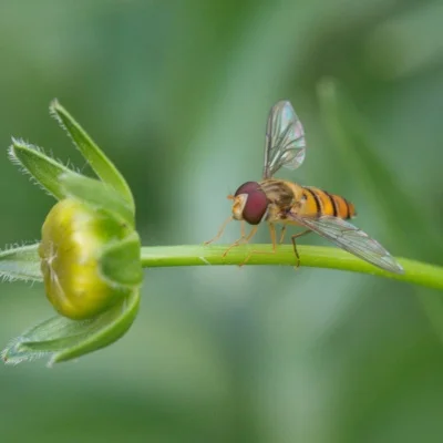 25 kg digitale servo volledig metalen tandwiel hoog koppel waterdicht voor RC auto crawler robot controlehoek 270 °