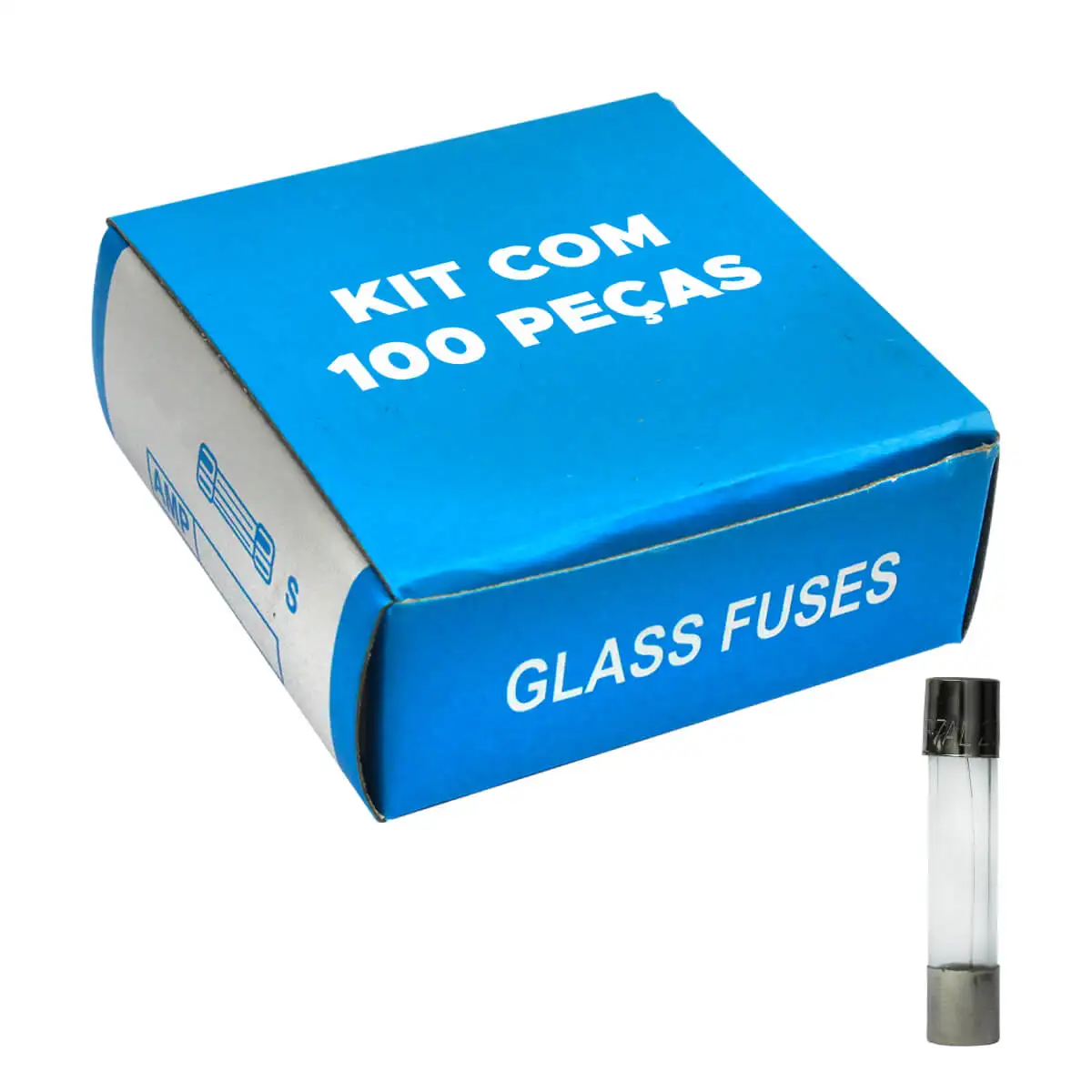 100X6x30 Large Glass Fuse Kit With 100 Pieces 8 Amp