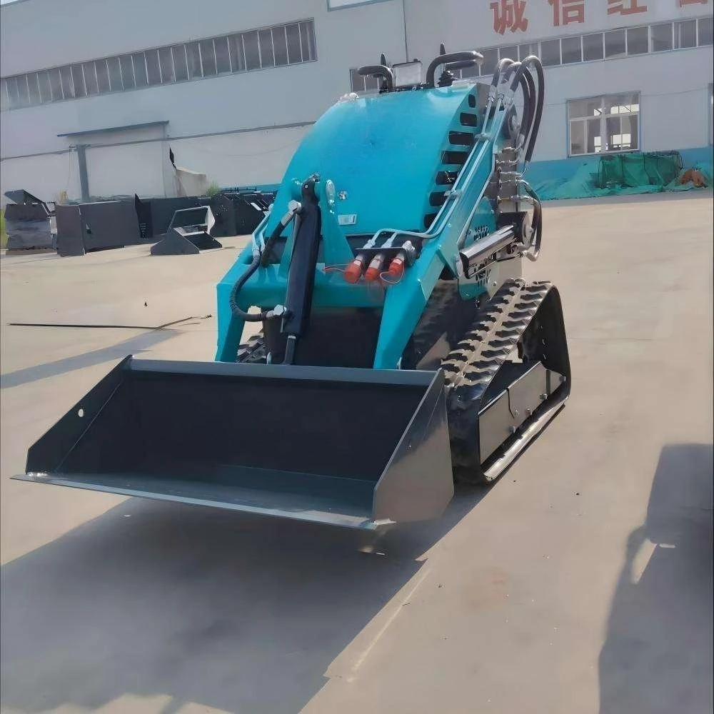 Front Loader Mini Skid Steer Loader Skid Loaders Compact Track System for Extensive Mud Turf Renovation Civil Project