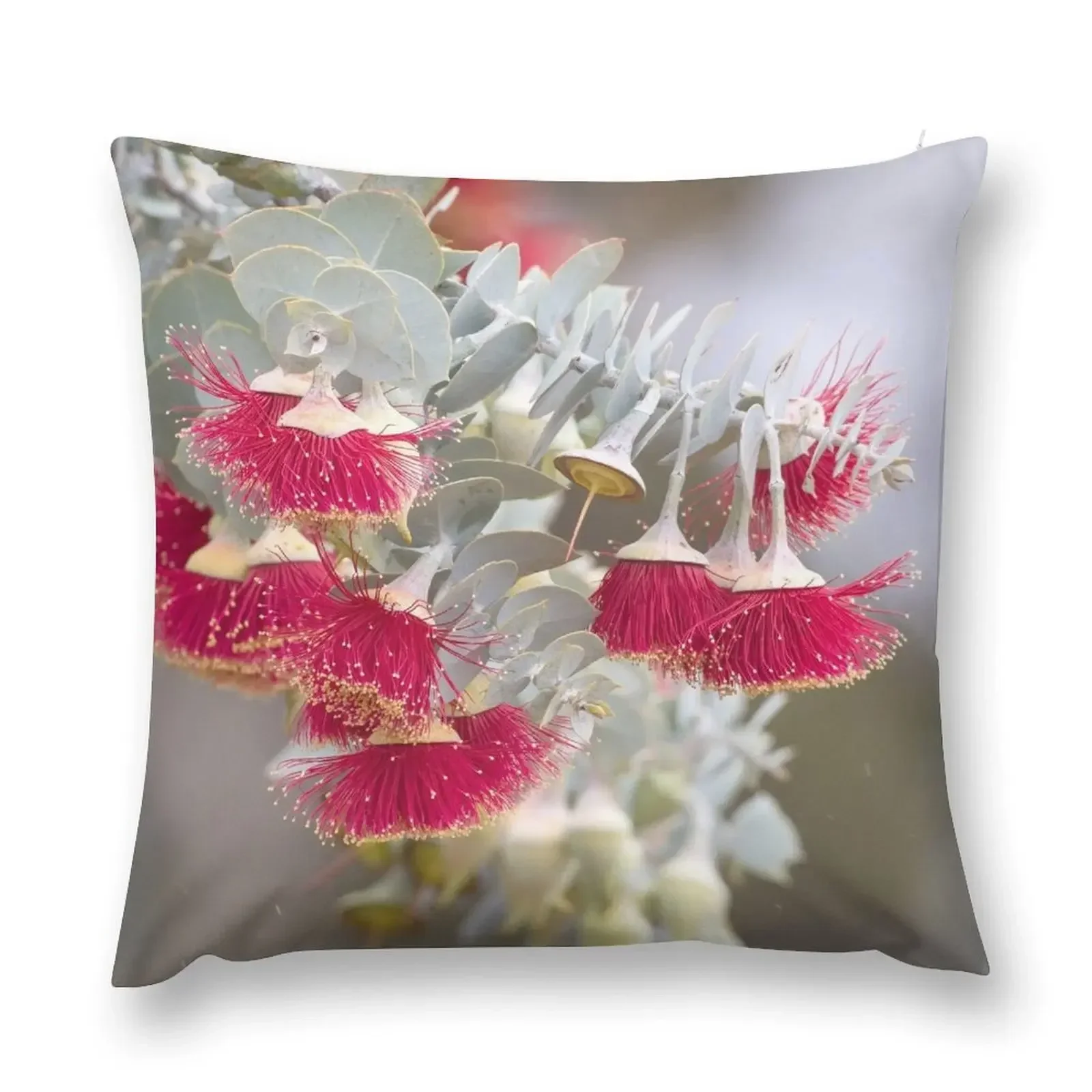 Eucalypt Rodantha Australian Wildflower Throw Pillow Pillowcases Couch Pillows Couch Cushions pillow