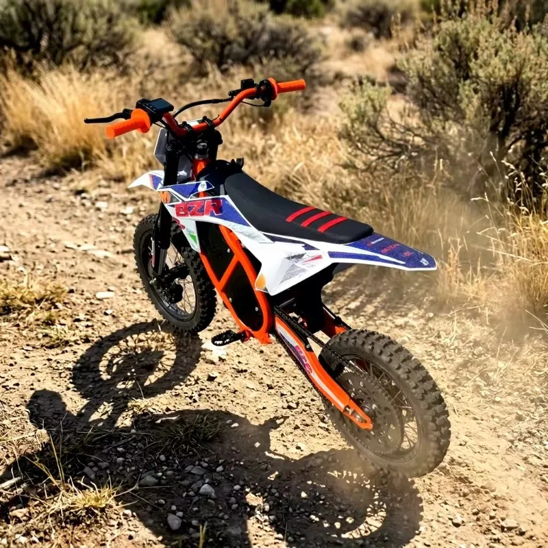 High Performance Electric Dirt Bike E Dirt Bike For Adults For Trail And Off Road Riding Hydraulic Disc Brake 48 V 2500W