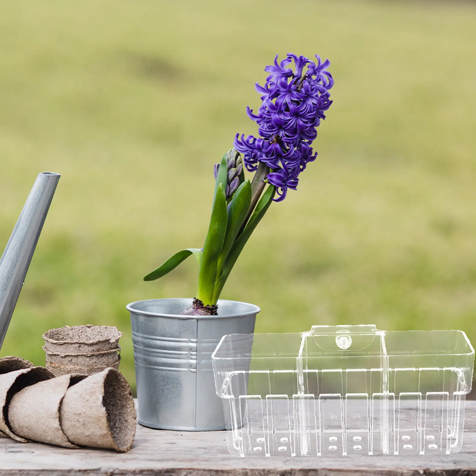 

Трехсекционная прозрачная гидропонная корзина для растений, настенный аквариум, держатель для растений, декоративный аквариумный горшок