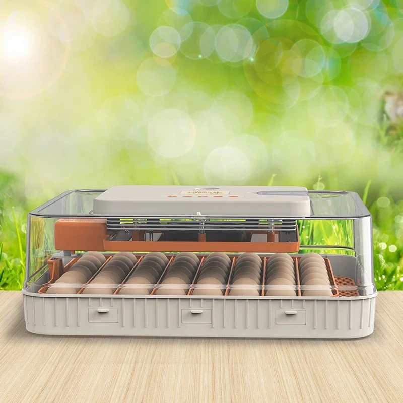 Hhd أفضل بيع حاضنة البيض آلة تفقيس البيض الحيوانات الأليفة حاضن ماكينة صنع الطعام بالطاقة الشمسية التلقائي مولد أوزون طبي