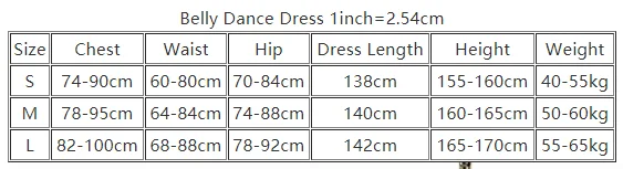 Belly Dance Professional Costumes for Women Cutsomsized Baladi Shaabi Stage Clothing Children Adult Belly Dancing Saidi Robes