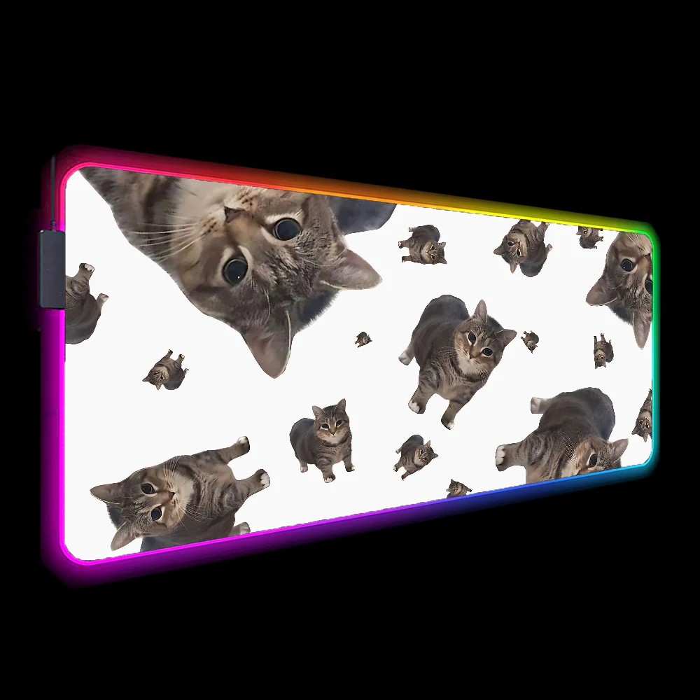You Die and Wake Up in Paradise Funny Cat LED Mouse Pad RGB Backlit Pc Accessories Gaming Mouse Mat Deskmat Mousepad Gamer