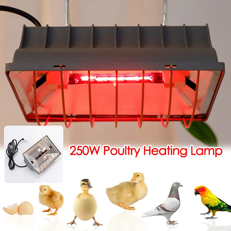 Poultry Heating Lamp 250W Constant Temperature Reptiles Animals Chicken Coop Heater Lamps Pet Heating Breeding Equipment