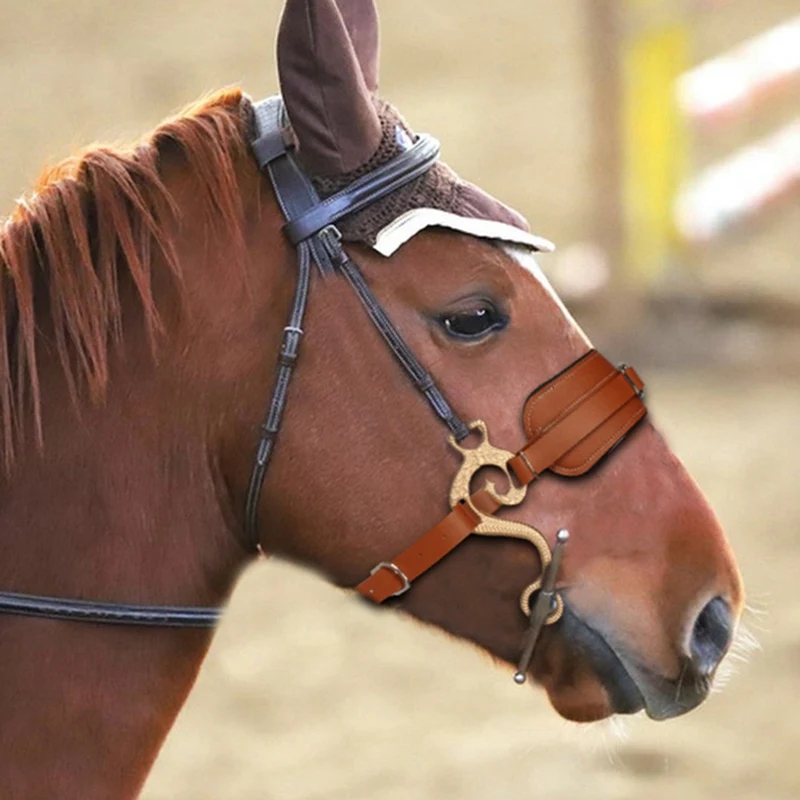 Horse Bit Brown Bridle Leather Padded English Western Adjustable Nose Curb Chain Horse Riding Equestrian Equipment