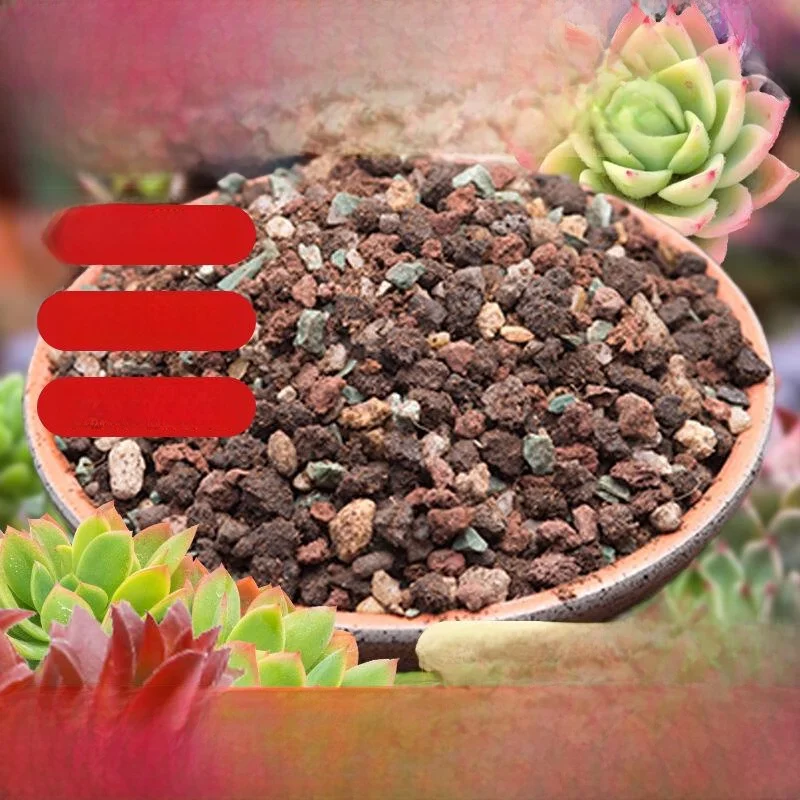 sustrato-universal-a-base-de-carbon-para-plantacion-de-suculentas-superficie-para-cortes-de-hojas-particulas-de-roca-para