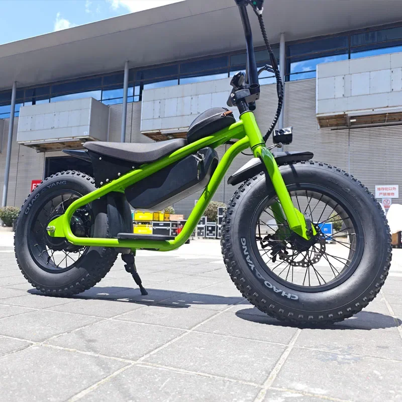 Off-road Electric Vehicle 48V350W High Performance 16 Inch Fat Tires Riding More Stable Electric Dirt Bike For Kids Ebike