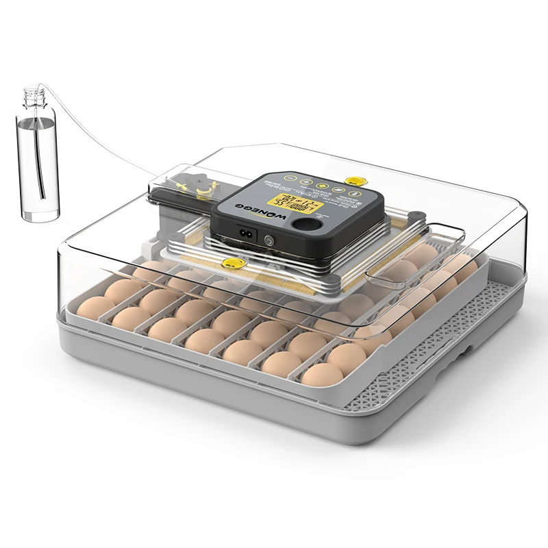 

STLFWONEGG NEW Humidity Control 48 EggsIncubators Mini 50 Eggs Incubator EggsIncubator Automatic