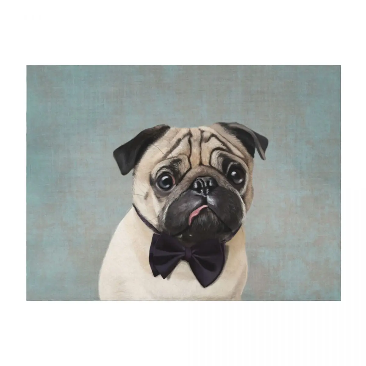 

Mr Pug Throw Blanket Flannels For Baby Blankets For Sofas Softest Blankets
