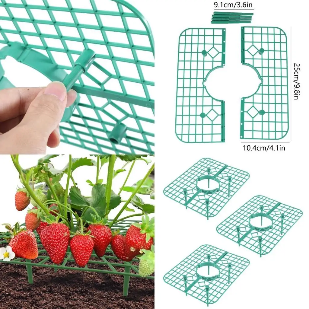 

E8BD Strawberry Stands 3 Pcs Plastic Support Holder Strawberries Growing Frame
