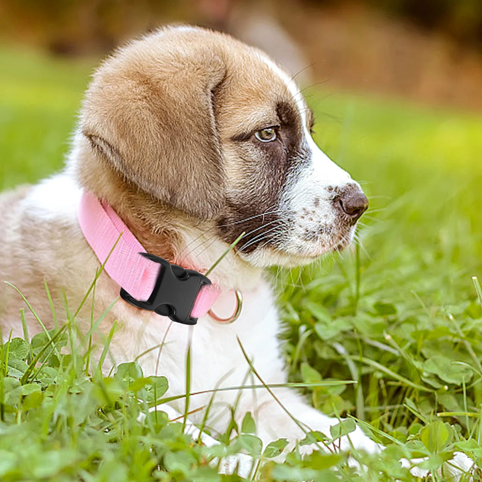 

50Pcs Black Plastic Side Release Buckles 38mm 106mm Durable Hard Webbing Dog Collar Paracord Bracelets Side Release Buckles