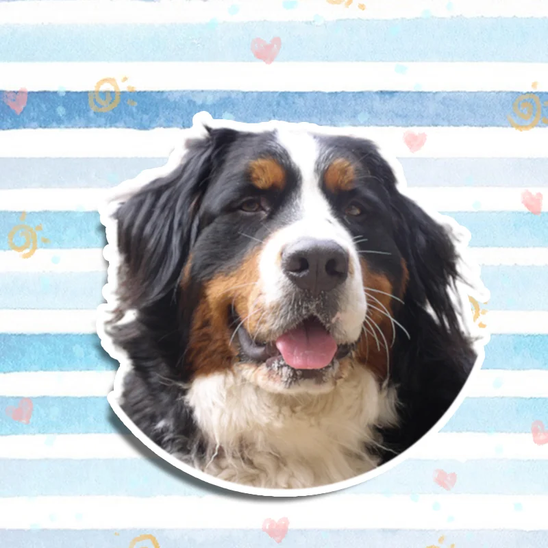 JPCT Jumping Time Swiss Bernese Mountain Animal Dog Stickers for cars, bumpers, windows Waterproof Vinyl Stickers 13cm x 12.7cm