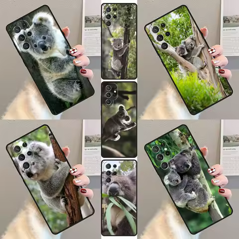 Koala Phone Case For Samsung Galaxy S23 S21 S20 FE S24 S22 Ultra Note20 S10 S9 S8 Plus Silicone Cover