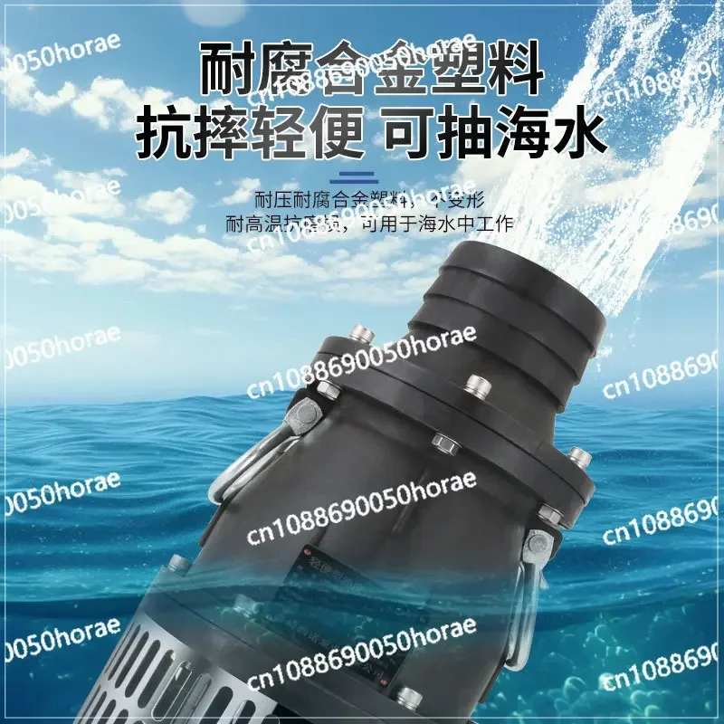 Seawater Pump 304 Stainless Steel High Flow Frequency Conversion Agricultural Irrigation Seawater Circulation