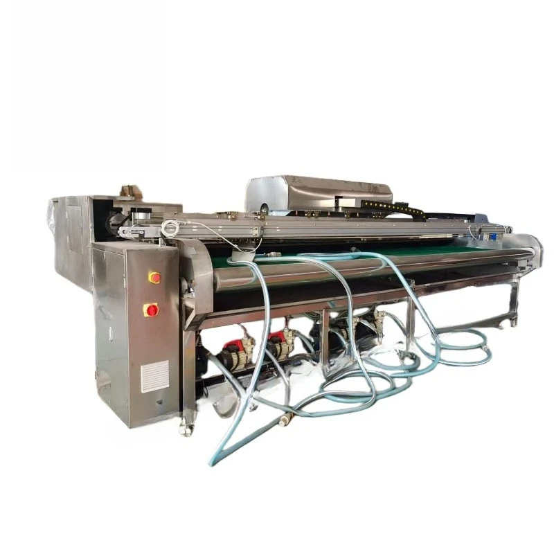 Large commercial carpet cleaning machine, industrial automatic carpet dust removal and drying machine
