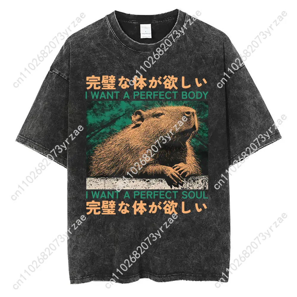 Capybara Retro Wash Tshirt Man Woman High Quality Vintage T Shirt Cotton Short Sleeves Fashion T-shirt Soft Breathable Tops