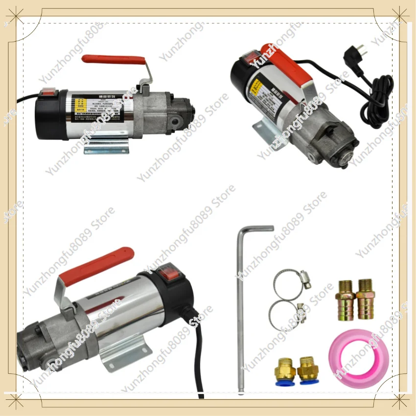 200W Small DC Motor TOP 12A 12V 24V 220V Electric Gear Oil Pump Cycloidal Hydraulic Oil Reducer Auto Refueling Pump